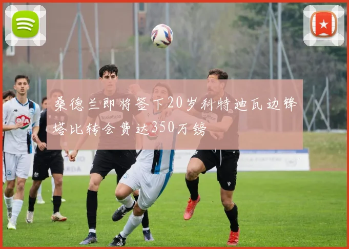 桑德兰即将签下20岁科特迪瓦边锋塔比转会费达350万镑