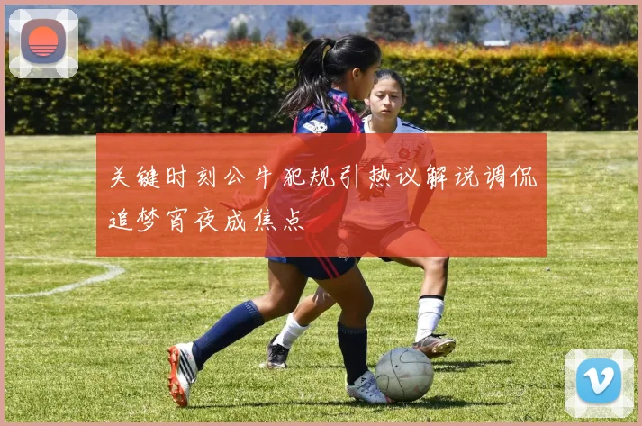 关键时刻公牛犯规引热议解说调侃追梦宵夜成焦点